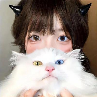 富贵逼东人 在线观看