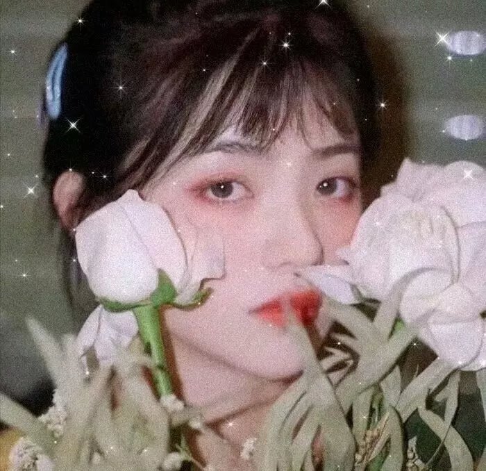 湮灭 在线观看